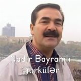 Türkülər