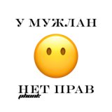 У МУЖЛАН НЕТ ПРАВ PHONK