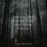 Calming Bird, Nature, Rain and Wave Tracks