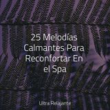 25 Melodías Calmantes Para Reconfortar En el Spa