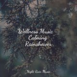 Wellness Music - Calming Rainshower