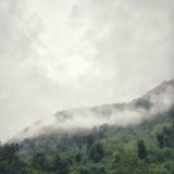 Rain Serenade | Rain & Nature Loopable Sounds Compilation