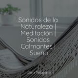 Sonidos de la Naturaleza | Meditación | Sonidos Calmantes | Sueño