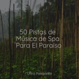 50 Pistas de Música de Spa Para El Paraíso