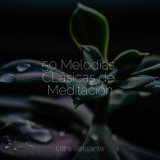 50 Melodías CLásicas de Meditación