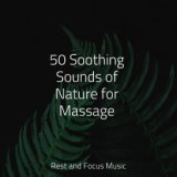 50 Soothing Sounds of Nature for Massage