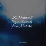 50 Natural Rain Sounds from Nature