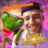 Самка богомола