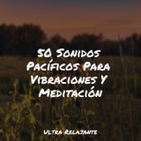 50 Sonidos Pacíficos Para Vibraciones Y Meditación