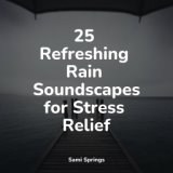 25 Refreshing Rain Soundscapes for Stress Relief