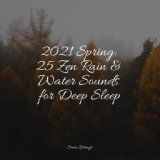 2021 Spring: 25 Zen Rain & Water Sounds for Deep Sleep