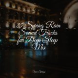 25 Spring Rain Sound Tracks for Deep Sleep Mix