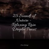 25 Sounds of Nature - Relaxing Rain Droplet Pieces