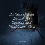 25 Best of Rain Sounds for Reading and Total Deep Sleep