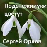 Подснежники цветут