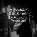 25 Soothing Rain Sounds for Absolute Peace and Calm