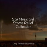 Spa Music and Stress Relief Collection