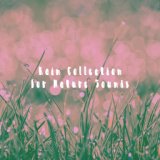 Rain Collection for Nature Sounds