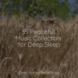 35 Peaceful Music Collection for Deep Sleep
