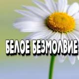 Белое безмолвие