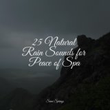 25 Natural Rain Sounds for Peace of Spa