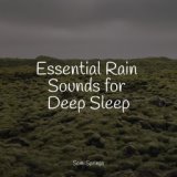 Essential Rain Sounds for Deep Sleep