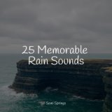 25 Memorable Rain Sounds