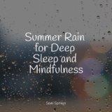 Summer Rain for Deep Sleep and Mindfulness