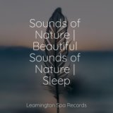Sounds of Nature | Beautiful Sounds of Nature | Sleep