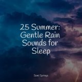 25 Summer: Gentle Rain Sounds for Sleep