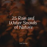 25 Rain and Water Sounds of Nature