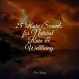 25 Rain Sounds for Natural Rain & Wellbeing