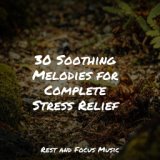 30 Soothing Melodies for Complete Stress Relief