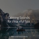Calming Sounds for Peaceful Spa