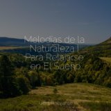 Melodías de la Naturaleza | Para Relajarse en El Sueño