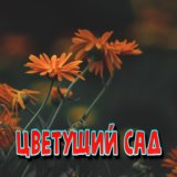 Цветущий сад