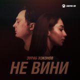 Не вини