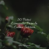 50 Pistas Esenciales Para la Calma Interior