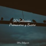 50 Colección Primavera y Sueño