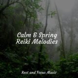 Calm & Spring Reiki Melodies