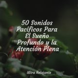 50 Sonidos Pacíficos Para El Sueño Profundo y la Atención Plena