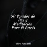 50 Sonidos de Paz y Meditación Para El Estrés