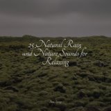 25 Natural Rain and Nature Sounds for Relaxing