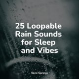 25 Loopable Rain Sounds for Sleep and Vibes