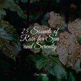 25 Rain Sounds for Peaceful Pieces