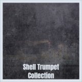 Shell Trumpet Collection