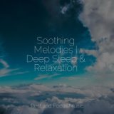 Soothing Melodies | Deep Sleep & Relaxation