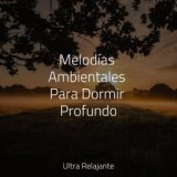 Melodías Ambientales Para Dormir Profundo