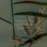 50 Melodías Ambientales Para Meditar y Dormir