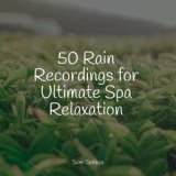 50 Rain Recordings for Ultimate Spa Relaxation